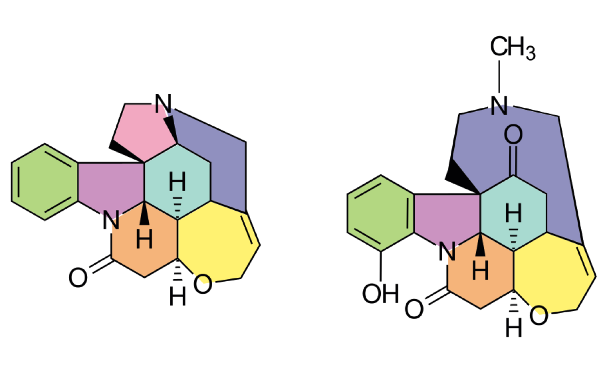 Deux molécules structurellement proches : Strychnine et Vomicine